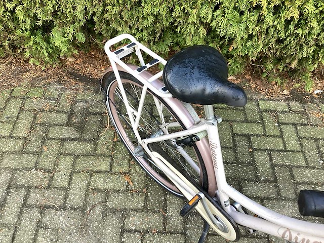 Batavus diva damesfiets - afbeelding 14 van  15