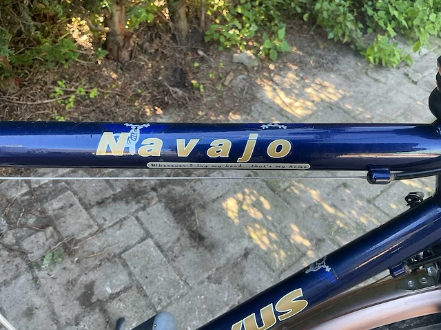 Batavus navajo herenfiets - afbeelding 1 van  11
