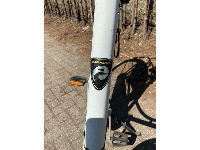 Batavus old dutch damesfiets - afbeelding 4 van  6