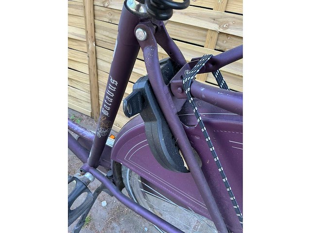 Batavus old dutch damesfiets - afbeelding 11 van  11