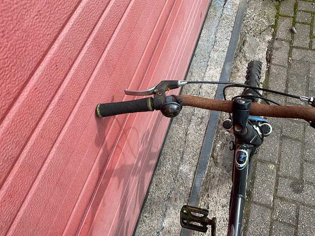 Batavus snake fiets - afbeelding 7 van  8