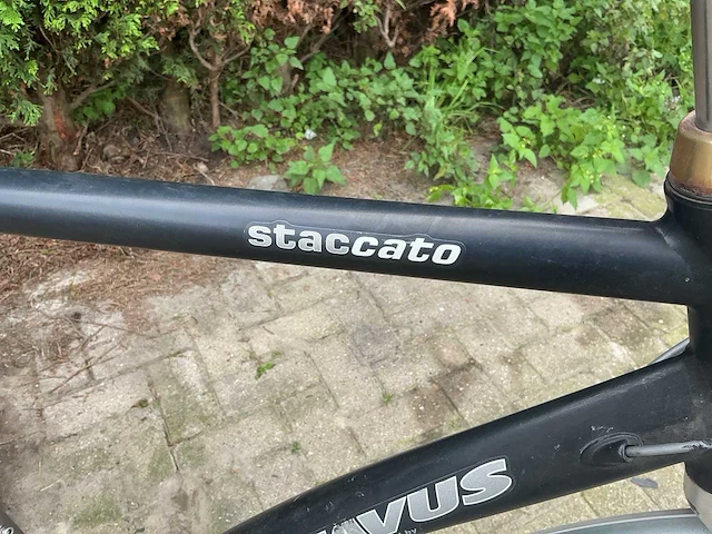 Batavus staccato herenfiets - afbeelding 12 van  12