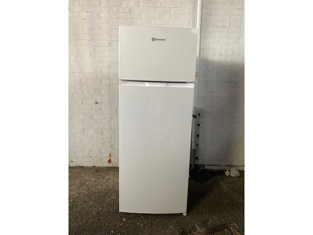 Bauknecht k55t0 413w vrijstaand 206 l wit - afbeelding 2 van  7