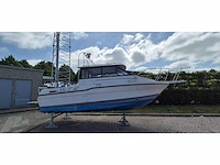 Bayliner - trophy cuddy 2059 - motor yacht - 1993 - afbeelding 10 van  17