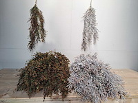 Be uniq, brynxz, home society, nino a - overige woonaccessoires - afbeelding 31 van  34