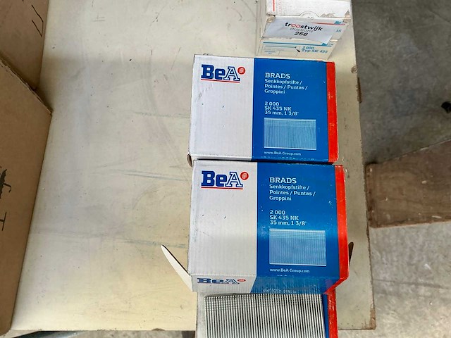 Bea spijkers (22000x) - afbeelding 2 van  2