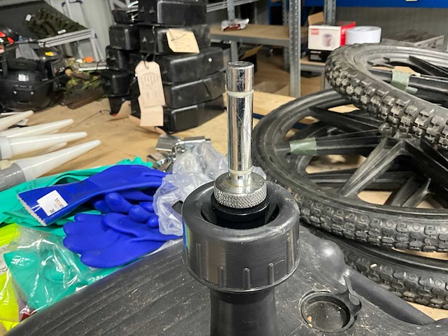 Beachvlagvoet - afbeelding 1 van  1