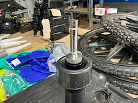 Beachvlagvoet - afbeelding 1 van  1