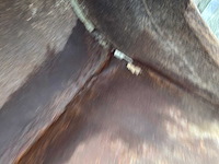 Beco graafbak “cw30” - afbeelding 7 van  7