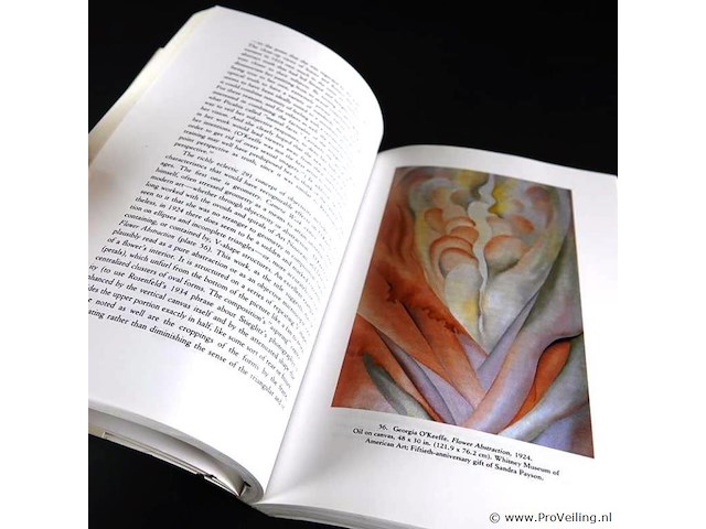 Becoming o'keeffe - afbeelding 4 van  5