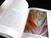 Becoming o'keeffe - afbeelding 4 van  5