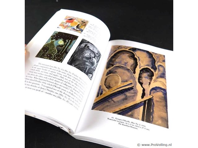 Becoming o'keeffe - afbeelding 5 van  5