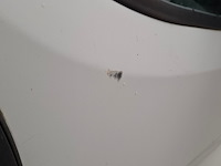 Bedrijfsauto, citroën, jumper - afbeelding 13 van  69