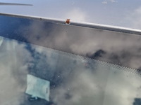 Bedrijfsauto, citroën, jumpy spacetourer, 2019 - afbeelding 32 van  39