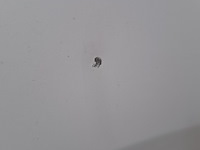 Bedrijfsauto, fiat, doblò cargo, 2013 - afbeelding 2 van  48