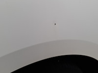 Bedrijfsauto, fiat, doblò cargo, 2013 - afbeelding 3 van  48