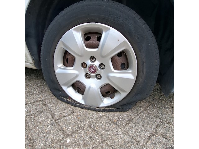 Bedrijfsauto, fiat, doblò cargo, 2014 - afbeelding 2 van  16