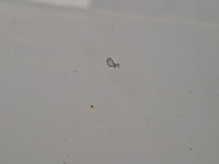 Bedrijfsauto, fiat, scudo 1200 l h1 2.0 mj 120 f, 2010 - afbeelding 8 van  83