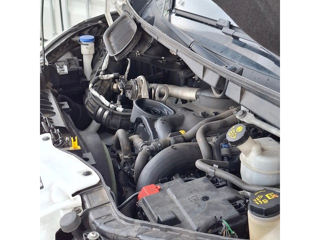 Bedrijfsauto, ford, transit, 2020 - afbeelding 44 van  51