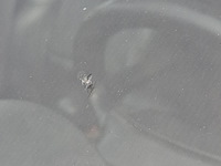 Bedrijfsauto, land rover, range rover sport, 2007 - afbeelding 73 van  75