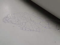 Bedrijfsauto, mega, tjaffer 1.5d pick-up - afbeelding 17 van  58