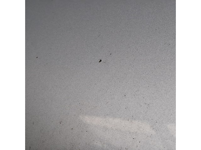 Bedrijfsauto, mercedes-benz, sprinter, 513 2.2 cdi 366 hd, 2013 - afbeelding 22 van  59