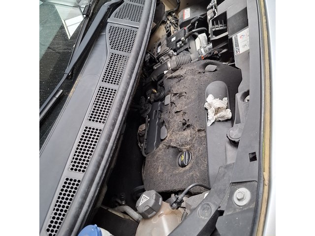 Bedrijfsauto, peugeot, expert, 2018 - afbeelding 17 van  25