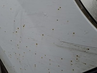 Bedrijfsauto, renault, kangoo express, 1.5 dci 85 grand confort, 2008 - afbeelding 4 van  15