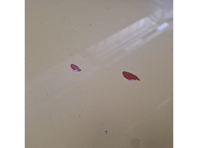 Bedrijfsauto, volkswagen, crafter, 2018 - afbeelding 18 van  60