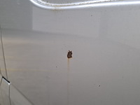 Bedrijfsauto, volkswagen, crafter - afbeelding 3 van  56