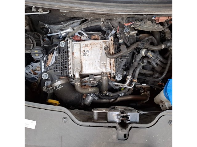 Bedrijfsauto, volkswagen, transporter 4motion, 2021 - afbeelding 58 van  66