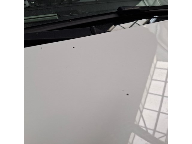 Bedrijfsauto, volkswagen, transporter 4motion, 2021 - afbeelding 24 van  62