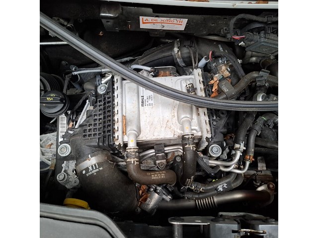 Bedrijfsauto, volkswagen, transporter 4motion, 2021 - afbeelding 47 van  55