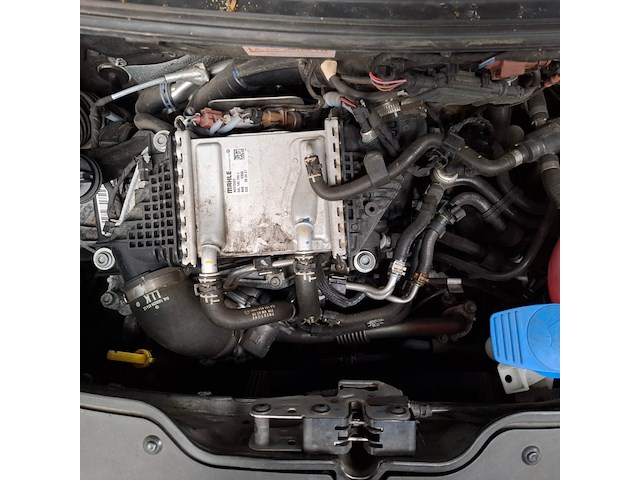 Bedrijfsauto, volkswagen, transporter 4motion, 2021 - afbeelding 54 van  64