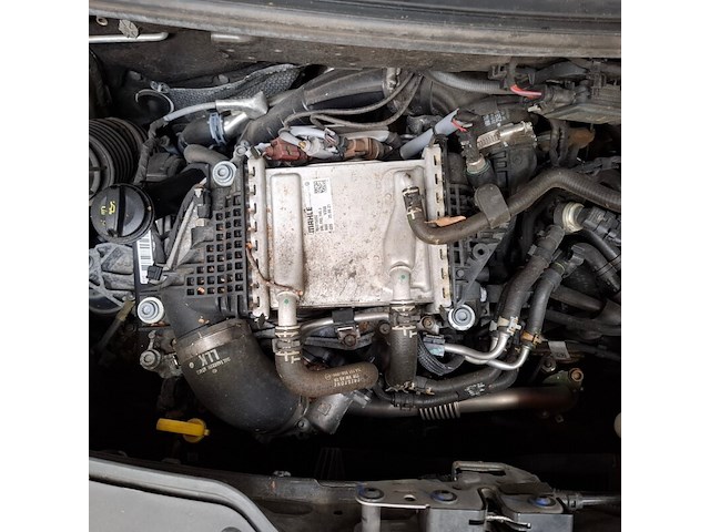 Bedrijfsauto, volkswagen, transporter 4motion, 2021 - afbeelding 49 van  60