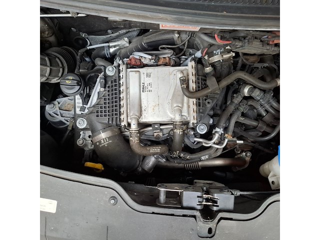 Bedrijfsauto, volkswagen, transporter 4motion, 2021 - afbeelding 46 van  58