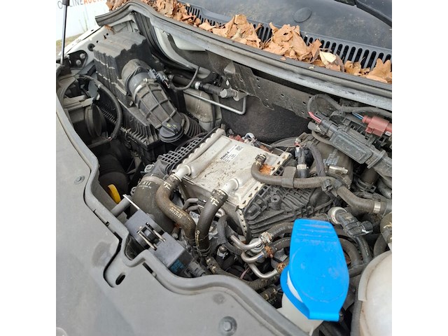 Bedrijfsauto, volkswagen, transporter 4motion, 2021 - afbeelding 30 van  48