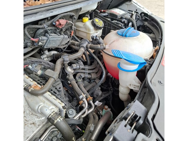Bedrijfsauto, volkswagen, transporter 4motion, 2021 - afbeelding 35 van  48