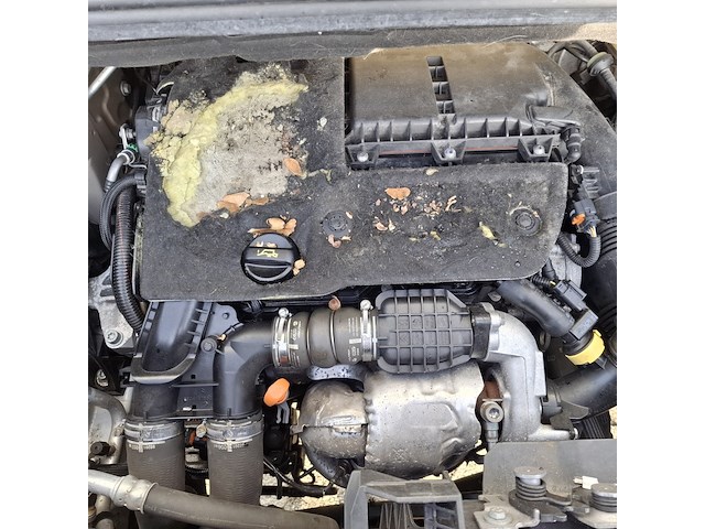 Bedrijfswagen, citroen, berlingo - afbeelding 15 van  43