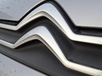 Bedrijfswagen, citroën, berlingo - afbeelding 24 van  48