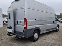 Bedrijfswagen, fiat, ducato - afbeelding 49 van  52