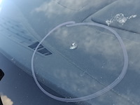 Bedrijfswagen, ford, transit custom, 2012 - afbeelding 54 van  59