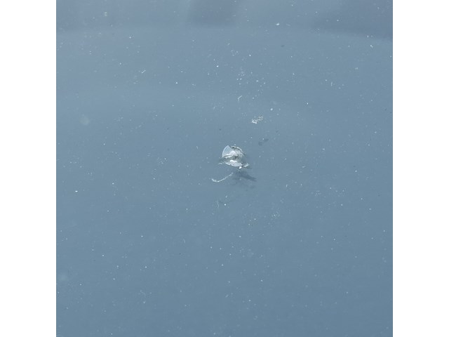 Bedrijfswagen, opel, vivaro - afbeelding 52 van  56