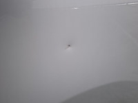 Bedrijfswagen, renault, trafic - afbeelding 49 van  52