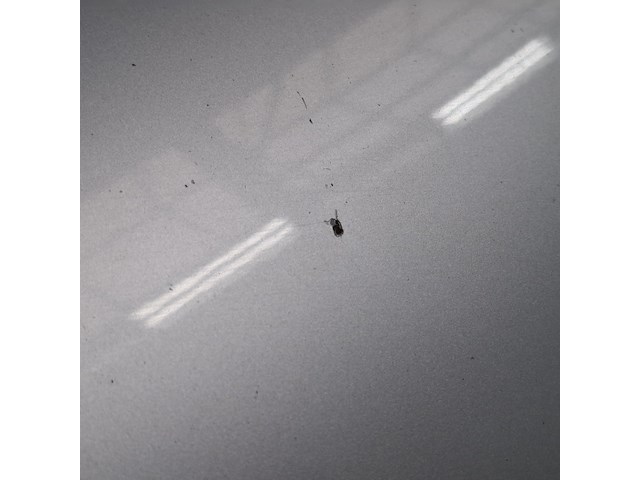 Bedrijfswagen, renault, trafic - afbeelding 13 van  53