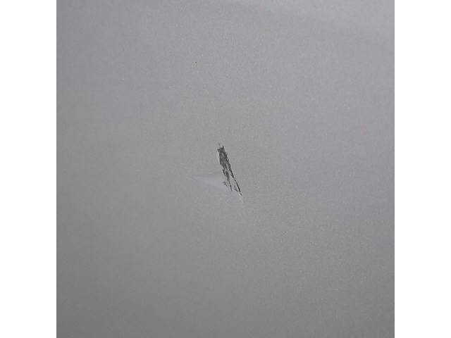 Bedrijfswagen, renault, trafic - afbeelding 52 van  53