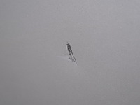 Bedrijfswagen, renault, trafic - afbeelding 52 van  53