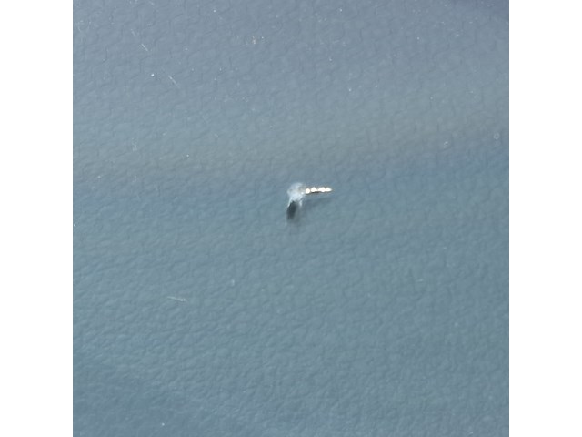 Bedrijfswagen, volkswagen, transporter - afbeelding 48 van  52