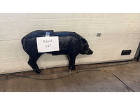 Beeld everzwijn - afbeelding 1 van  2