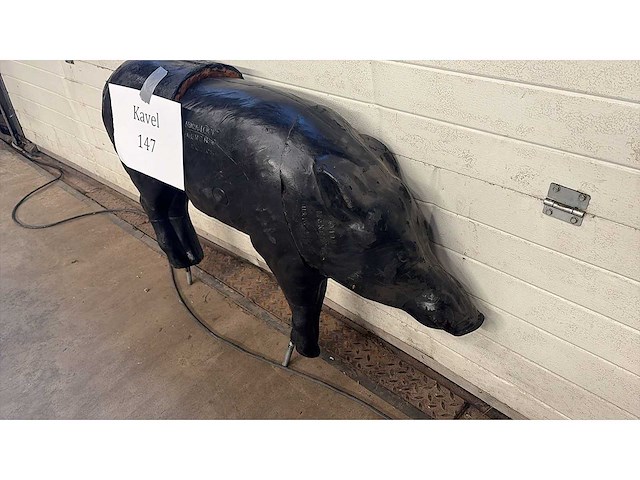 Beeld everzwijn - afbeelding 2 van  2